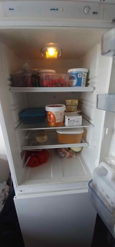 Photo of free Fridge freezer (Upper Norwood SE19) #3