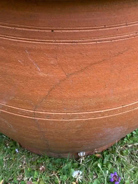 Photo of free Terracotta Outdoor Pot (central Steyning) #3