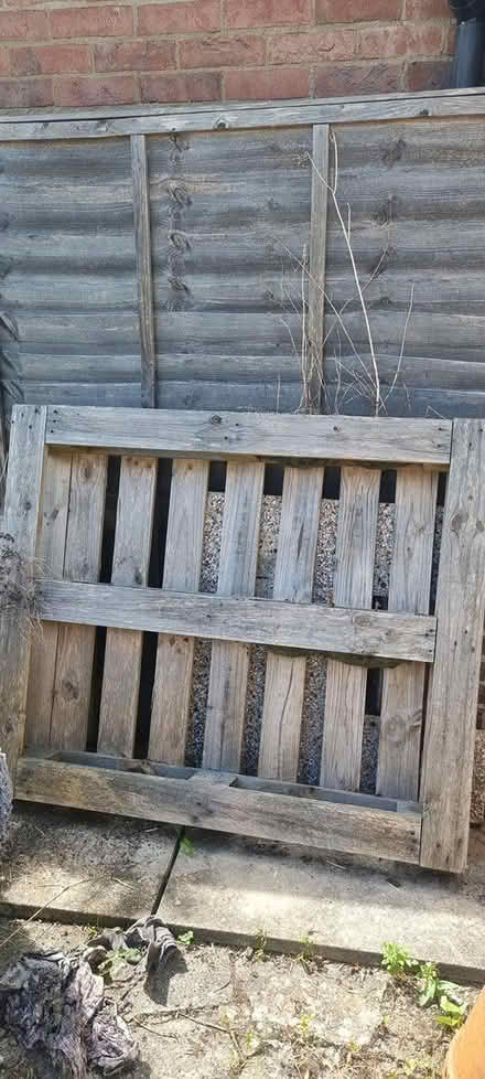 Photo of free wooden pallet (PO18) #1