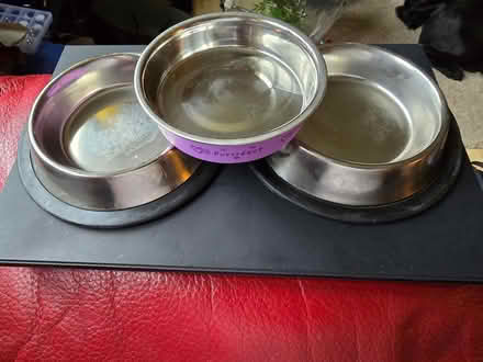 Photo of free Cat bowls or small dog bowls (Penicuik EH26) #1