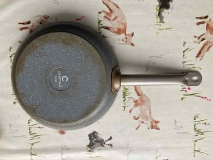 Photo of free Large frying pan (Swanley BR8) #2