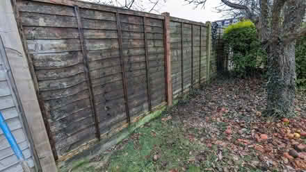 Photo of free Wood from loads of Old fence panels. perfect for burning (Woodhouse Mill S13) #1