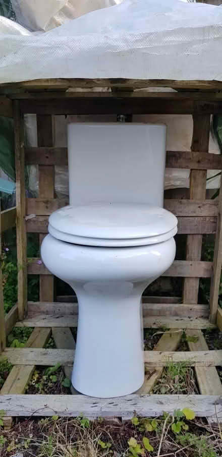 Photo of free Working toilet (Stoke-sub-Hamdon TA14) #1