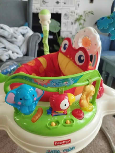 Photo of free Fisher price jumperoo (Dunstable) #2