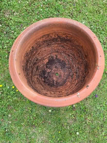 Photo of free Terracotta Outdoor Pot (central Steyning) #2