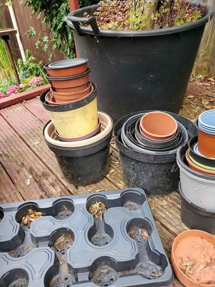Photo of free Plastic plant pots (Plumstead, SE18) #2