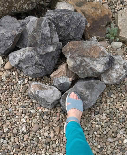 Photo of free Rocks (S12 Gleadless Townend) #1