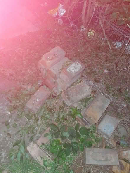 Photo of free Red bricks (WF14) #2