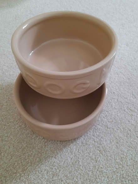 Photo of free Dog bowls (Tutbury DE13) #1