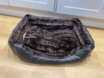 Photo of free Dog bed and toys (Walkley S6) #1