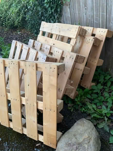 Photo of free 6 pallets good dry condition (Ecclesall) #2