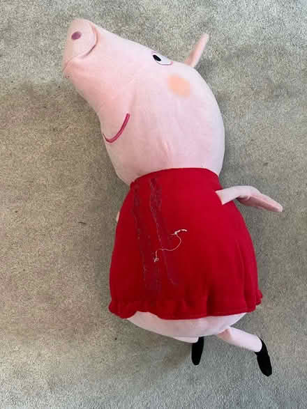 Photo of free Peppa Pig (Park hill) #2