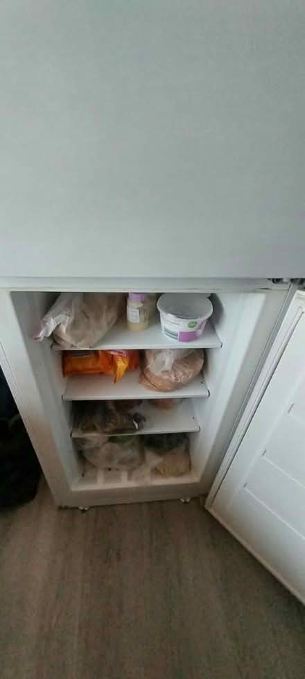 Photo of free Fridge freezer (Upper Norwood SE19) #4