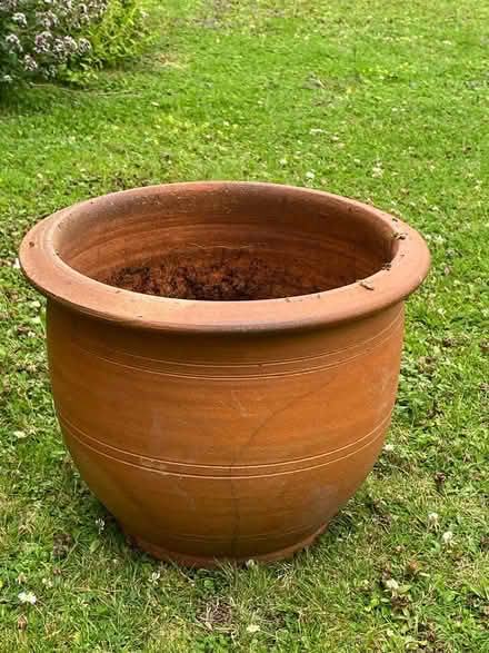 Photo of free Terracotta Outdoor Pot (central Steyning) #1