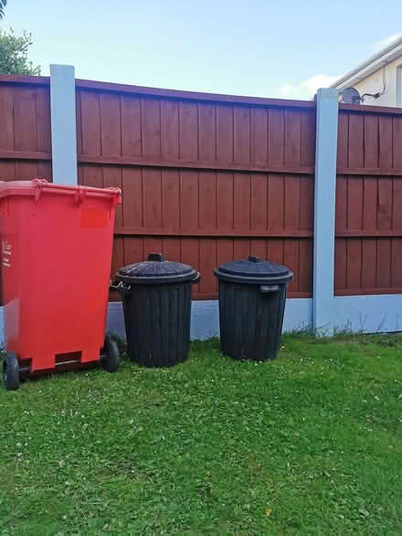 Photo of free Bins (Blarney) #1