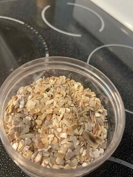 Photo of free Aquarium rocks (small) (Jefferson Heights) #2