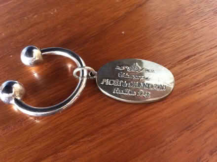 Photo of free Moet&Chandon champagne bucket & 2 silver bottle pendants (Peacehaven BN10) #2