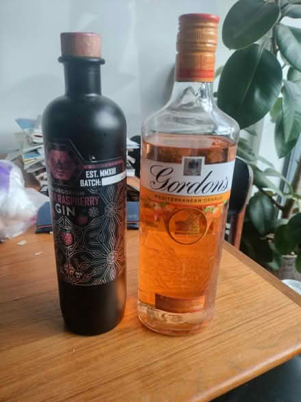 Photo of free Gin (Forest Gate E7) #1