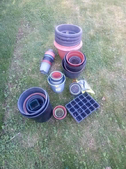 Photo of free Plastic plant pots and pegs (Cossington (TA7)) #1