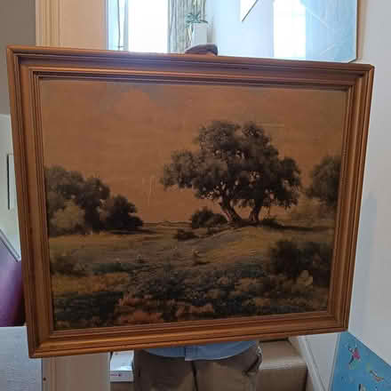 Photo of free Old painting of Texas bluebells (East Finchley N2) #3