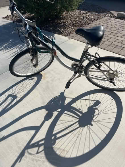Photo of free Schwinn bicycle (Florence) #1