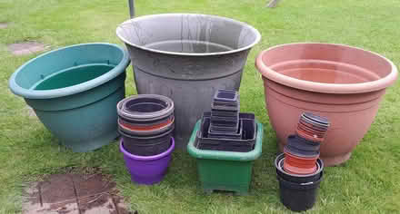 Photo of free plant pots: various (Elworth CW11) #1