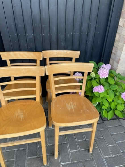 Photo of free Habitat wooden chairs (Hertford) #1