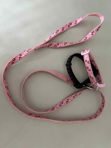 Photo of free Puppy/Small Dog Collars and Lead (St. Marys Island ME4) #1
