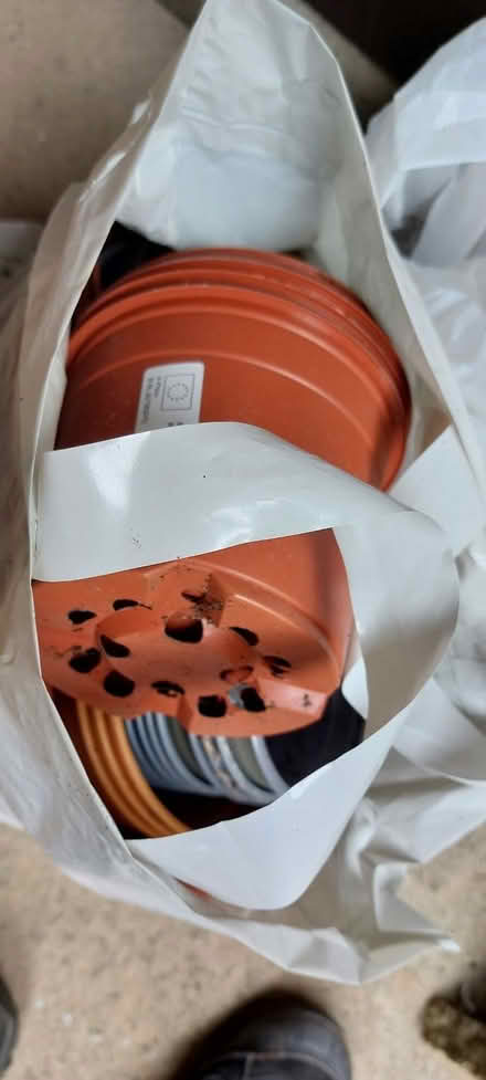 Photo of free Plant pots (IP1) #1