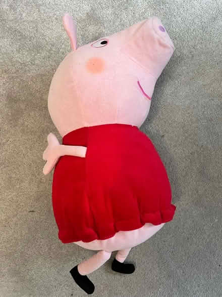 Photo of free Peppa Pig (Park hill) #1