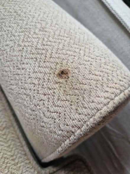 Photo of free Beige armchair (CR0) #4