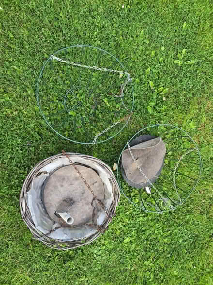 Photo of free Three Hanging Baskets (Bozeat NN29) #1