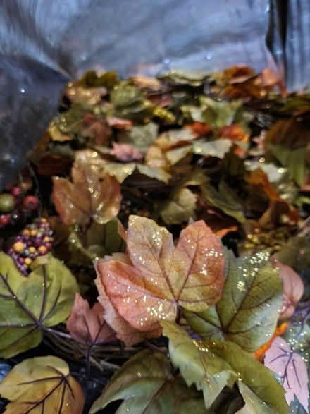 Photo of free Whole bag of fall flowers (Dc) #1
