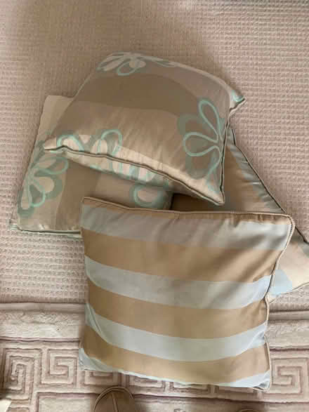 Photo of free Cushions (Forest Green GL6) #1