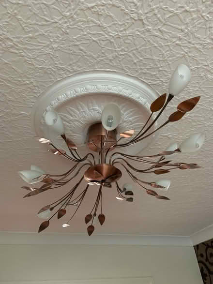 Photo of free Flower and leaf Light fittings set (Kings norton) #1