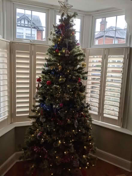 Photo of free 7 FT Pre-lit LED Christmas Tree (Big Yellow Guildford GU1 1BA) #3