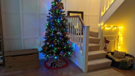 Photo of free 7 FT Pre-lit LED Christmas Tree (Big Yellow Guildford GU1 1BA) #1