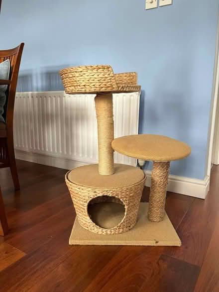 Photo of free Cat tree (East Barnet, EN4) #3