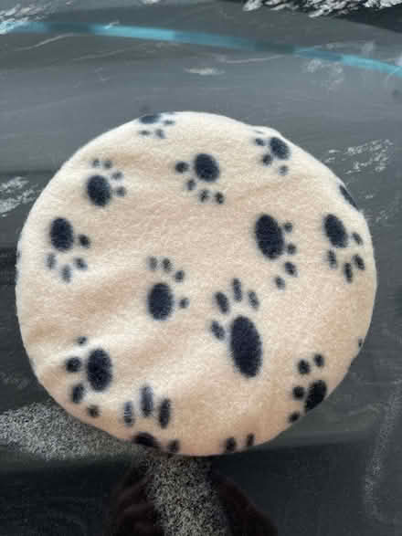Photo of free Microwaveable heat pad for pets (Heybridge Basin, CM9) #1