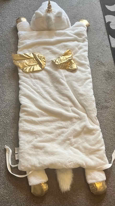 Photo of free Unicorn sleeping bag (Trowbridge) #3
