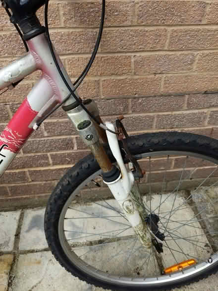 Photo of free Ladies bike (Sothall S20) #2