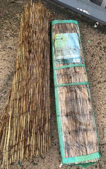 Photo of free x2 Reed screening (4x1m) (Burnopfield NE16) #1