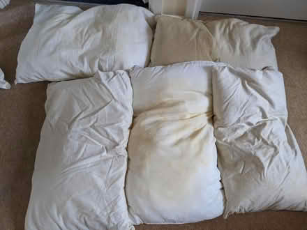 Photo of free Very old pillows - 4 garden or pets (Oakington CB24) #1