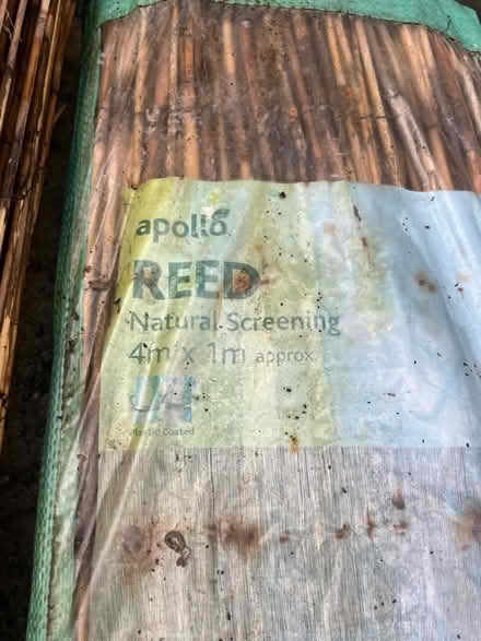 Photo of free x2 Reed screening (4x1m) (Burnopfield NE16) #2