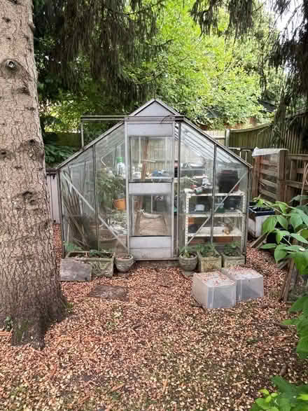 Photo of free Greenhouse (Apsley HP3) #1