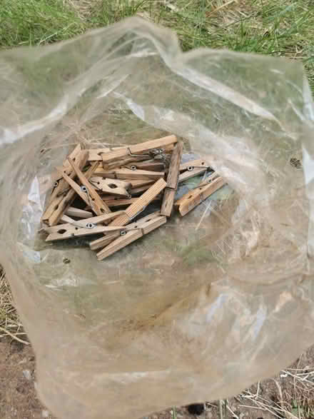 Photo of free Clothes pegs x20 (Walthamstow E17) #1