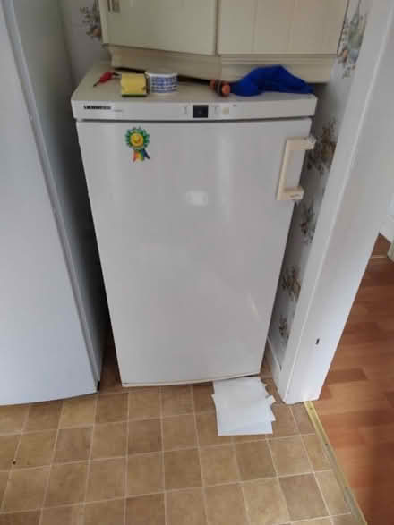 Photo of free Large Freezer (Southport PR8) #1