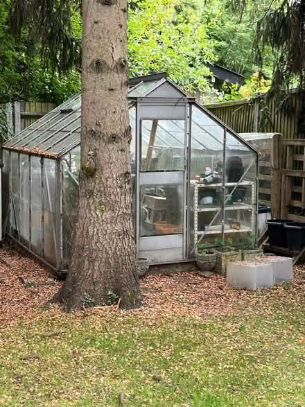 Photo of free Greenhouse (Apsley HP3) #2