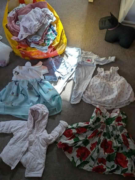Photo of free Baby Girl Clothes (Weybridge) #1