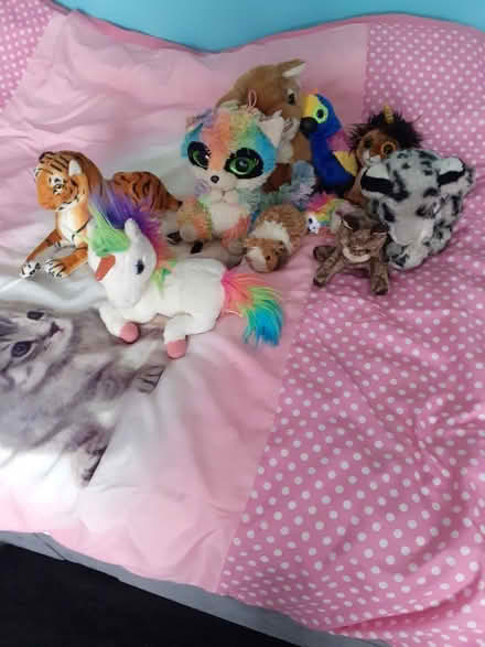 Photo of free Plushies (Penrith CA11) #1